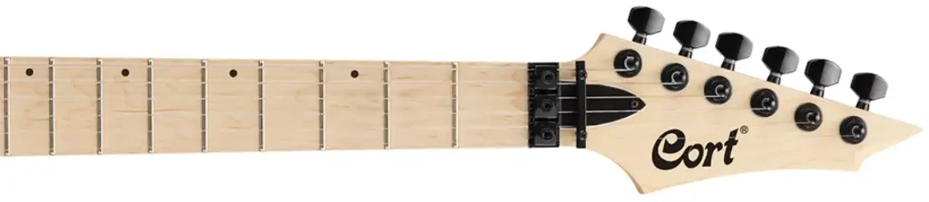 CORT X300 GREY BURST