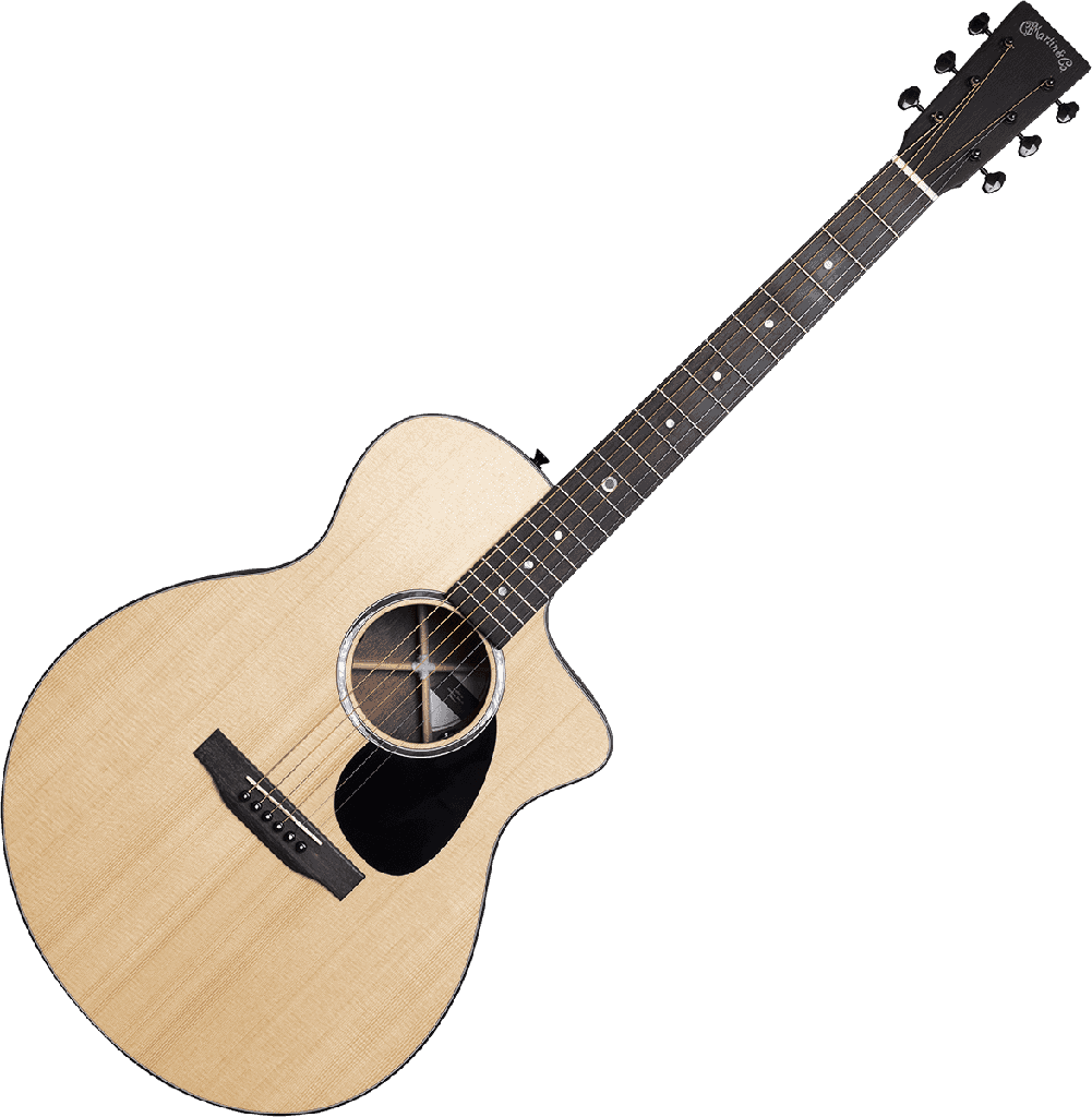 GUITARE ELECTRO ACOUSTIQUE MARTIN