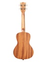 UKULELE KALA GUIDANCE CONCERT