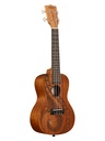 UKULELE KALA GUIDANCE CONCERT