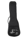 UKULELE KALA GUIDANCE CONCERT