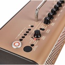 YAMAHA AMPLI ACOUSTIQUE THR300IIA