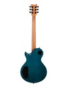 GUITARE ELECTRIQUE SCHECTER SOLO II OBB