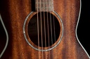 GUITARE CORT PARLOR AP550M