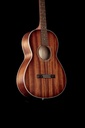 GUITARE CORT PARLOR AP550M