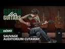 youtube - [Video]