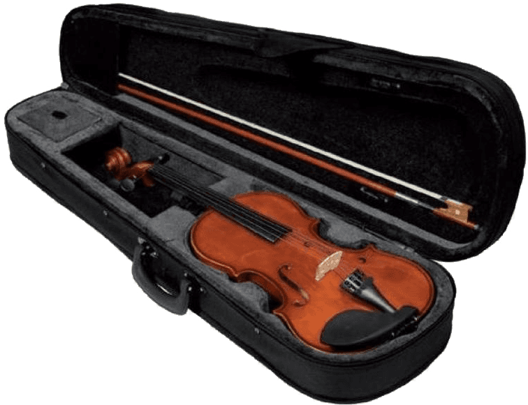 VIOLON HERALD (3/4)