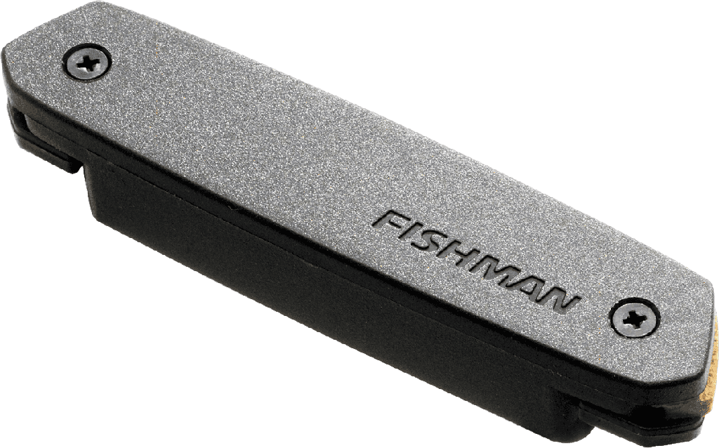 FISHMAN MICRO GUITARE