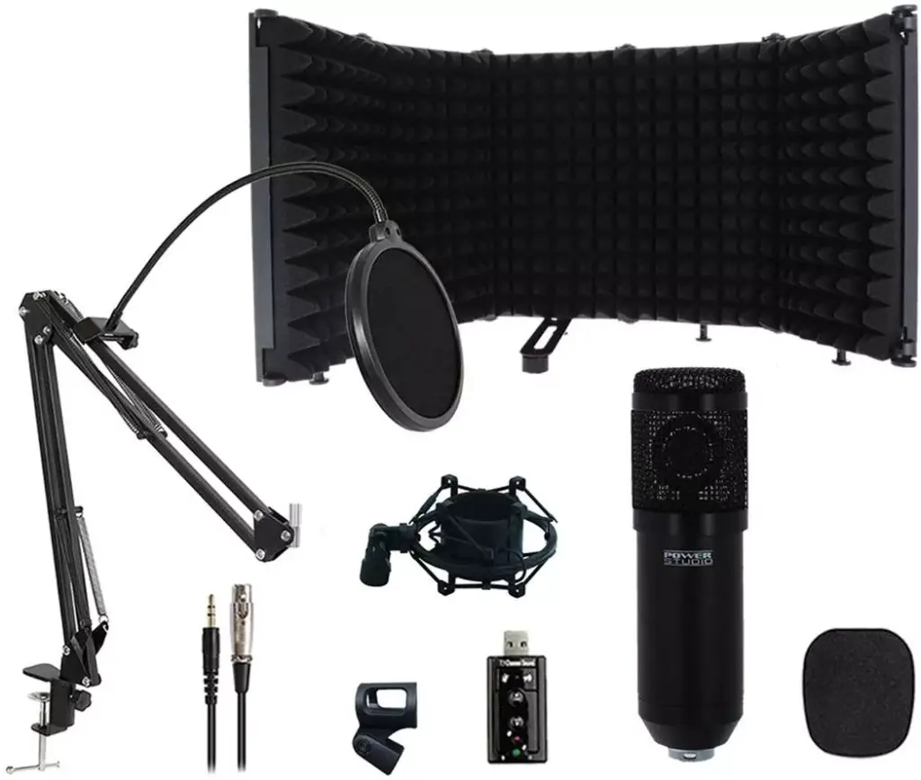 POWER STUDIO VIBE D1 XLR RF