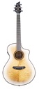 BREEDLOVE PURSUIT EX S CONCERT CE 