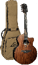 GUITARE  LAG 12 CORDES SAUVAGE