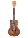 UKULELE KALA GUIDANCE CONCERT