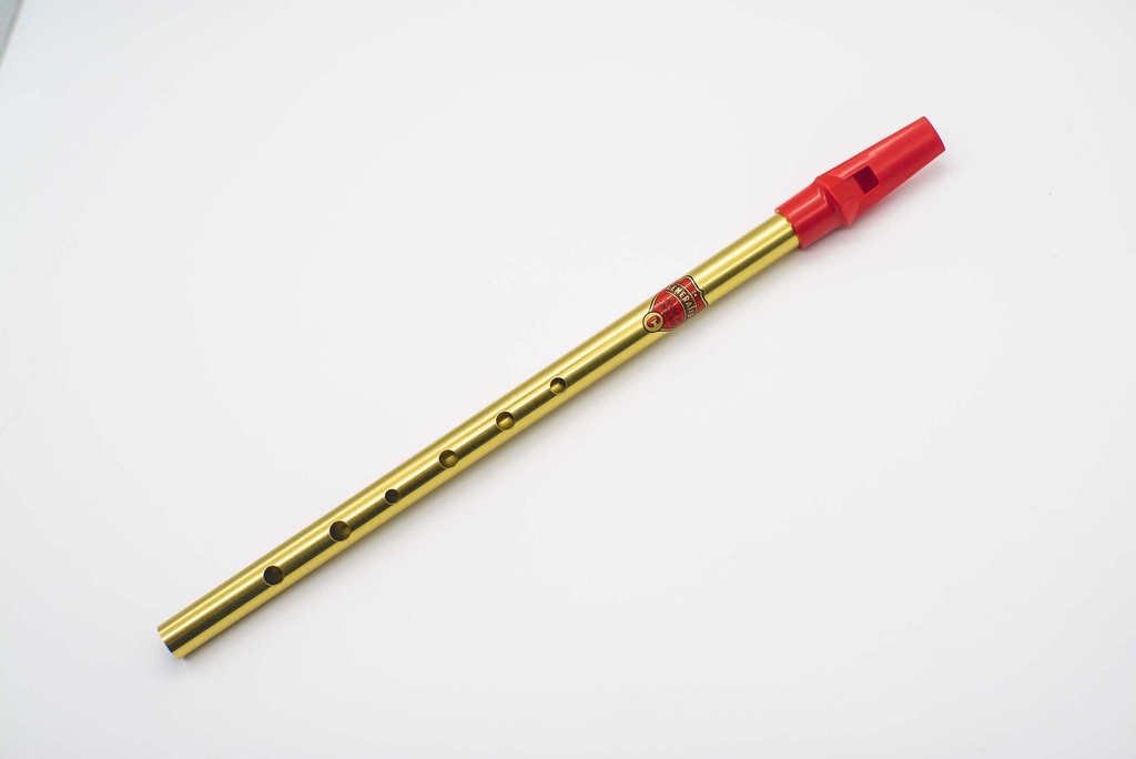 FLUTE FLAGEOLET GENERATION MUSIC