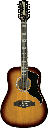GUITARE FOLK 12 CORDES EKO RANGER