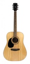 GUITARE FOLK CORT POUR GAUCHER