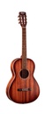 GUITARE CORT PARLOR AP550M