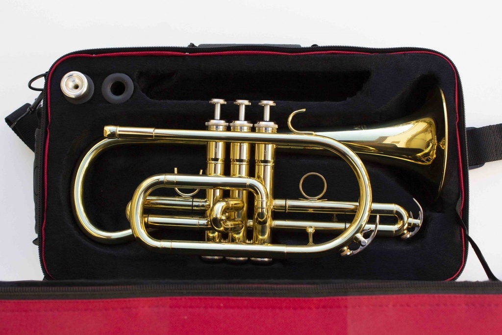 [CR8356] CORNET A PISTON ALYSEE