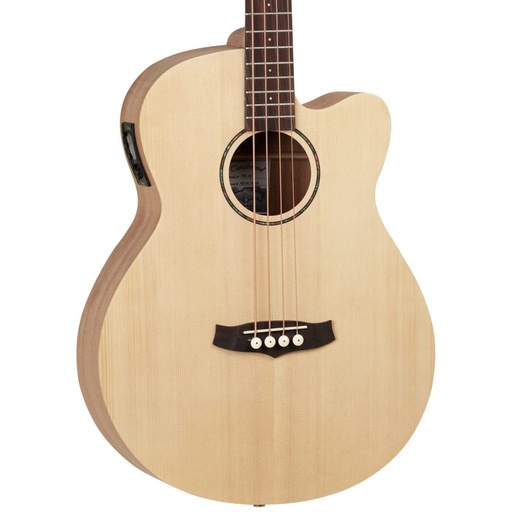 BASSE ACOUSTIQUE TANGLEWOOD TWR AB