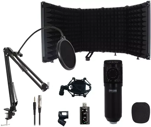 [VIBE D1 XLR RF] POWER STUDIO VIBE D1 XLR RF